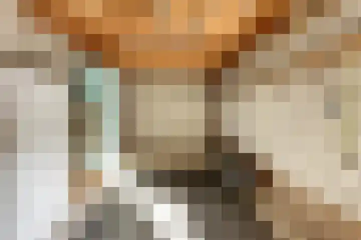 Heistraat 4 Vlijmen thumbnail 38