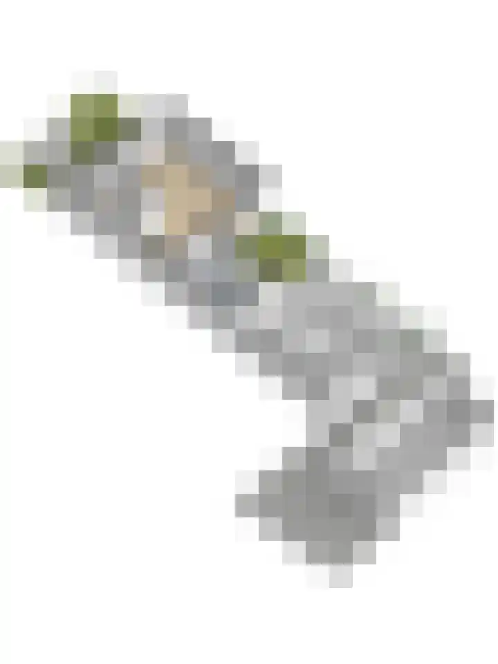 Heistraat 4 Vlijmen thumbnail 50