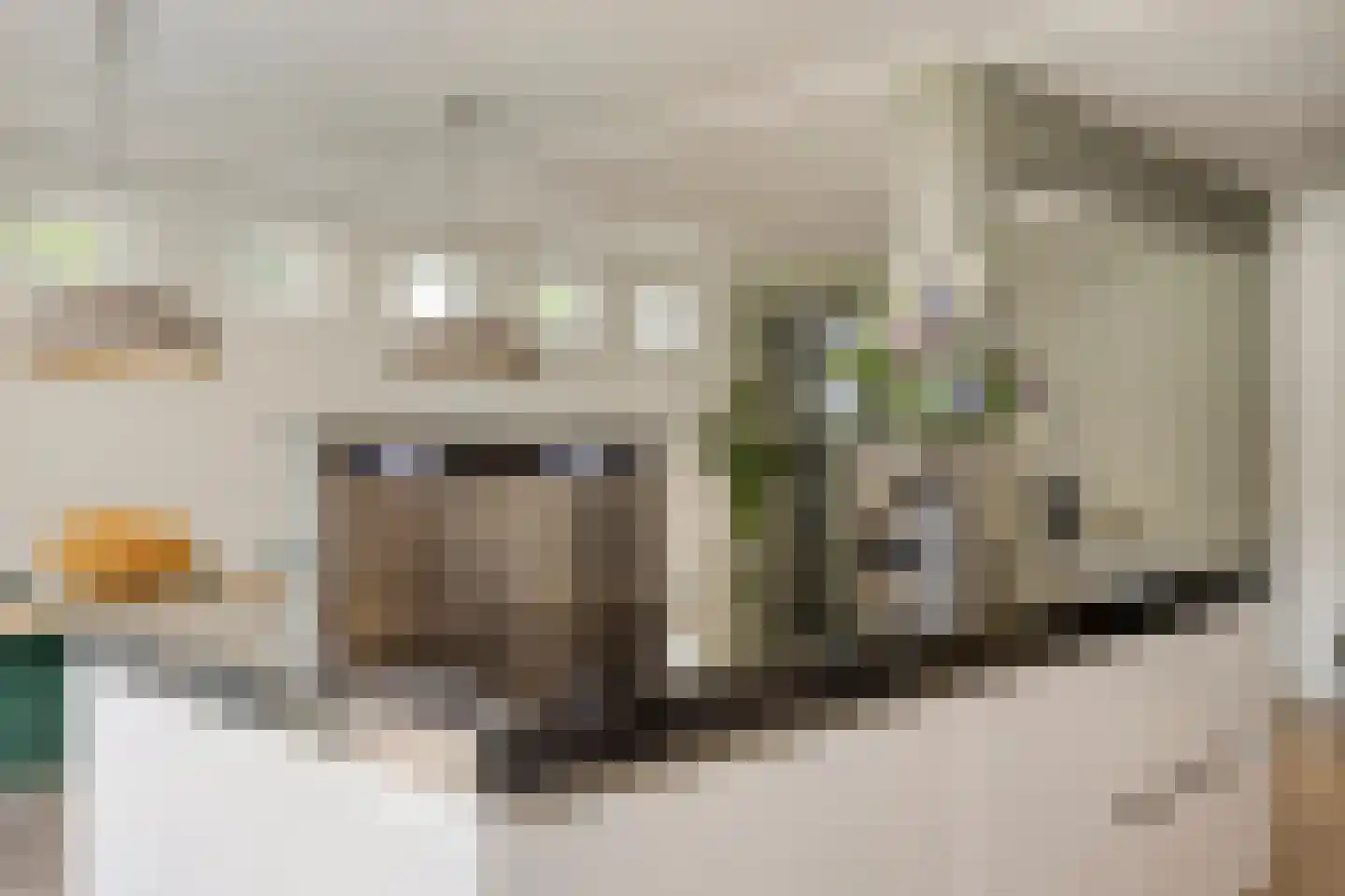 Heistraat 45 Valkenswaard thumbnail 20