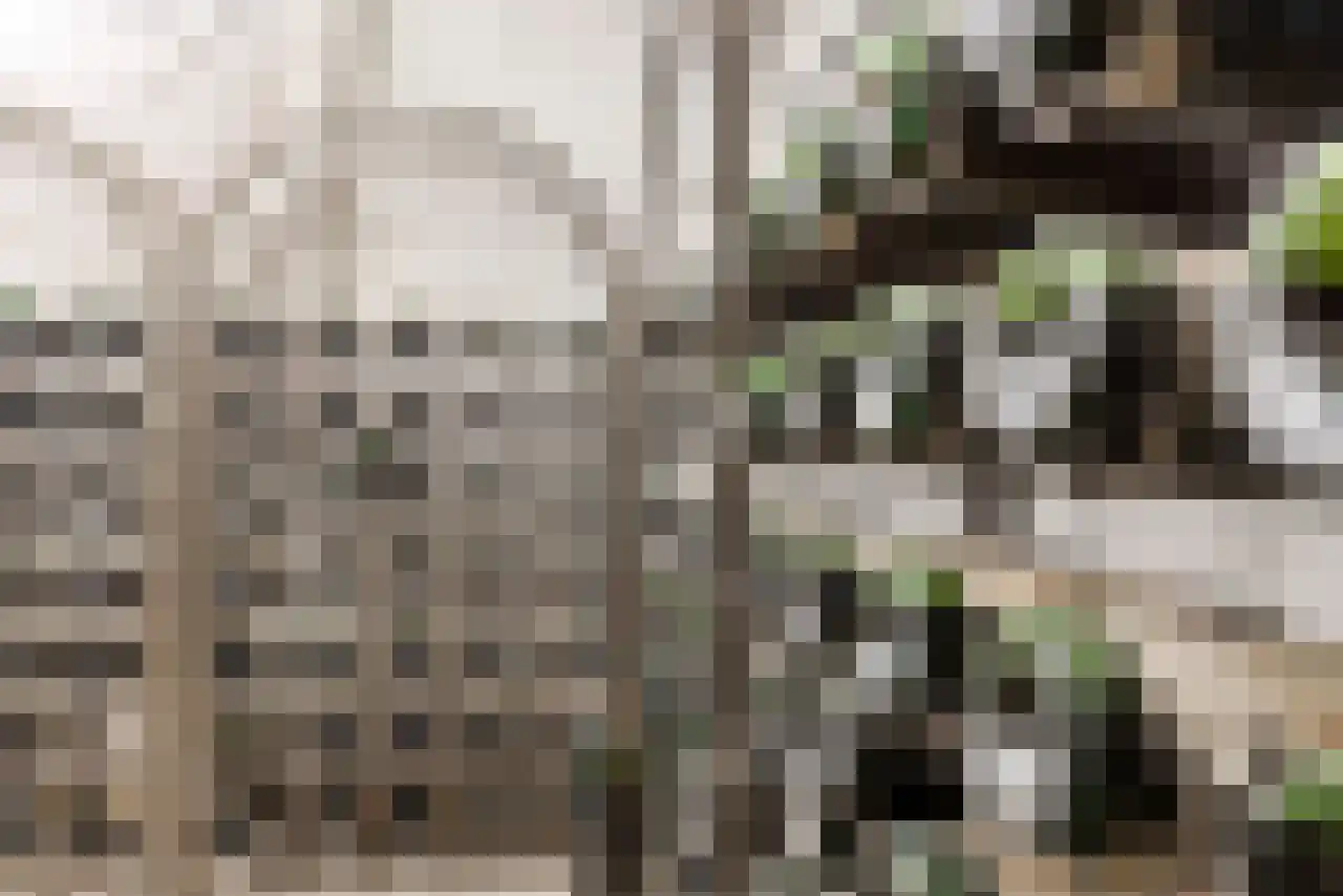Heistraat 45 Valkenswaard thumbnail 31