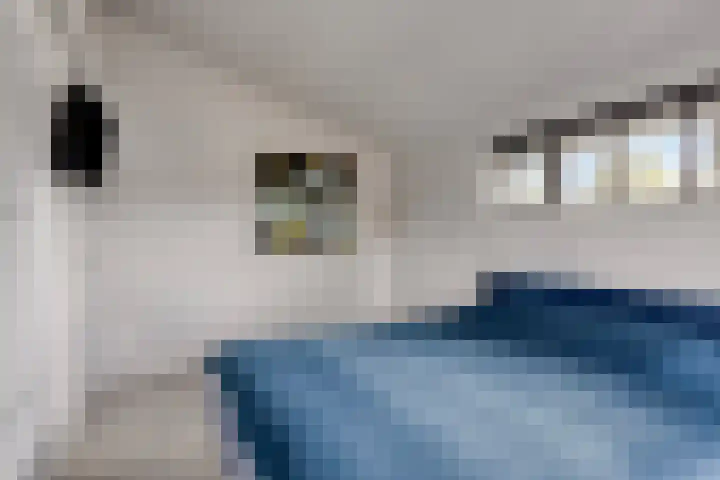 Heistraat 45 Valkenswaard thumbnail 35