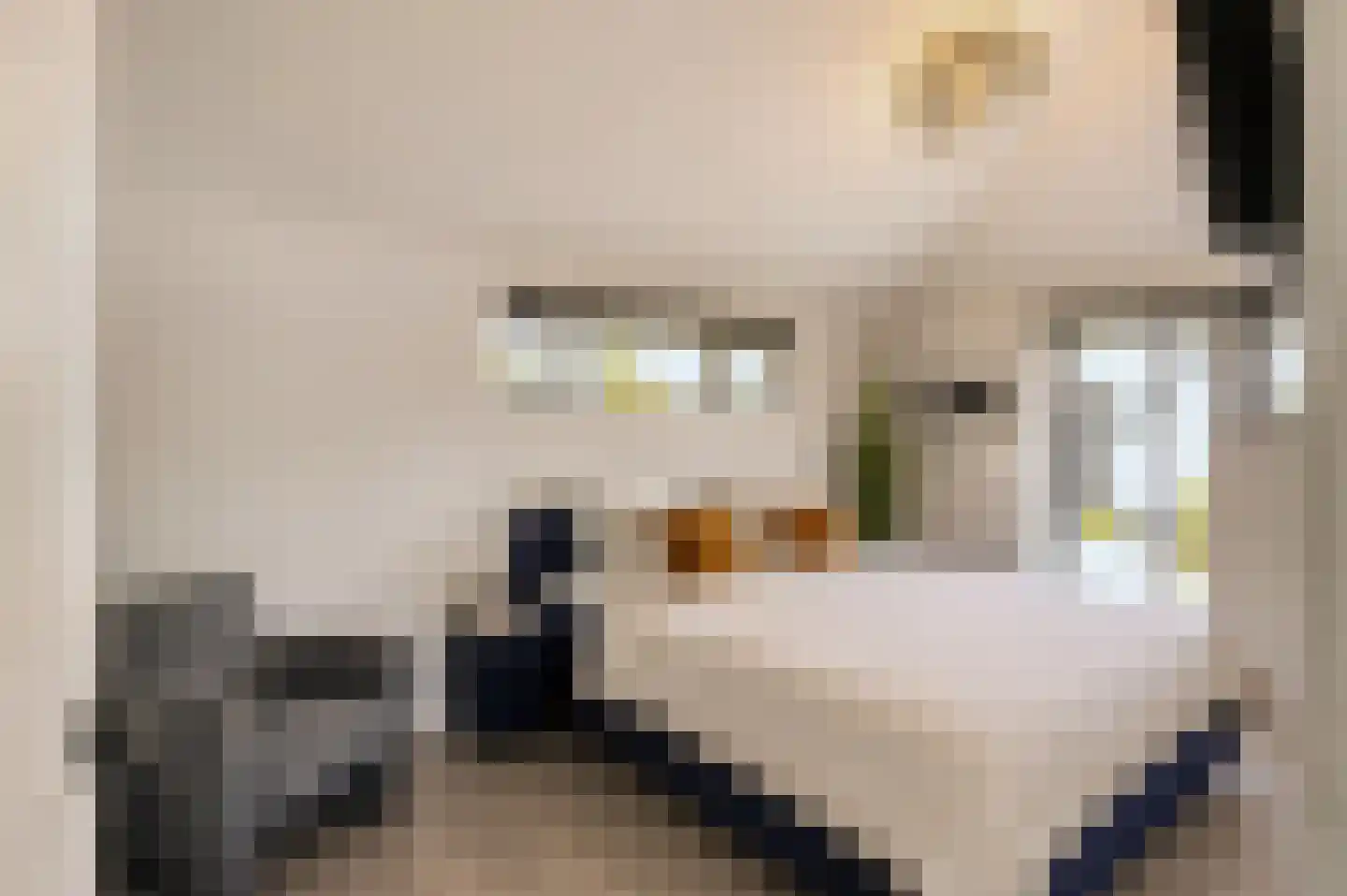 Heistraat 45 Valkenswaard thumbnail 38