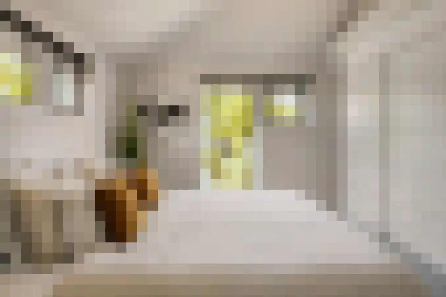 Heistraat 45 Valkenswaard thumbnail 39