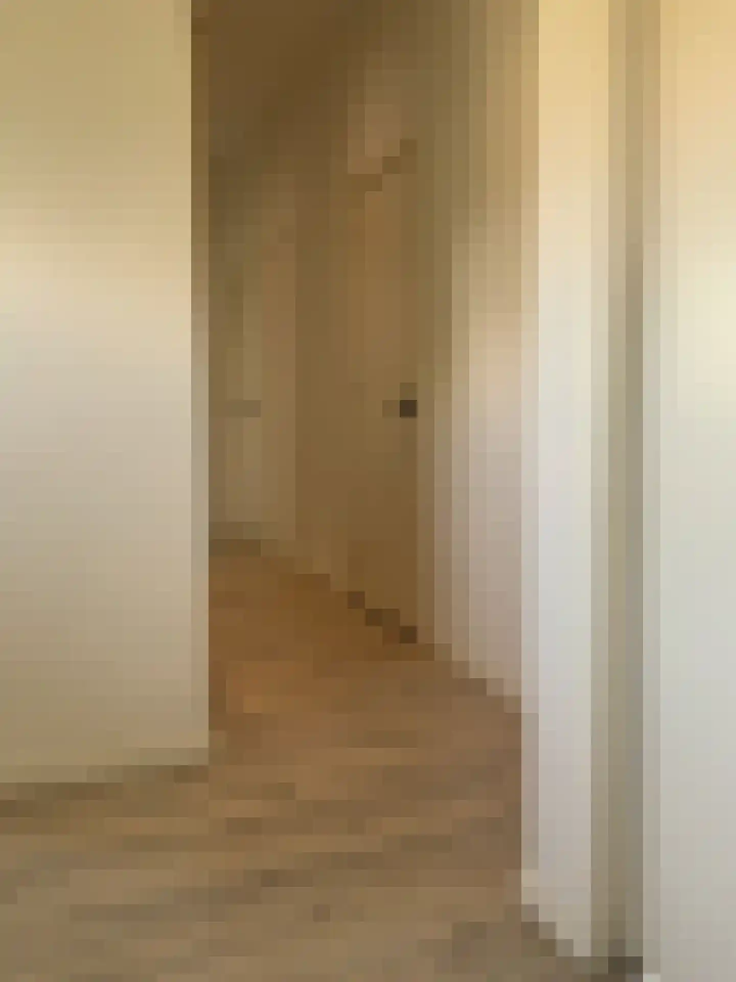 Heistraat 45 Valkenswaard thumbnail 42