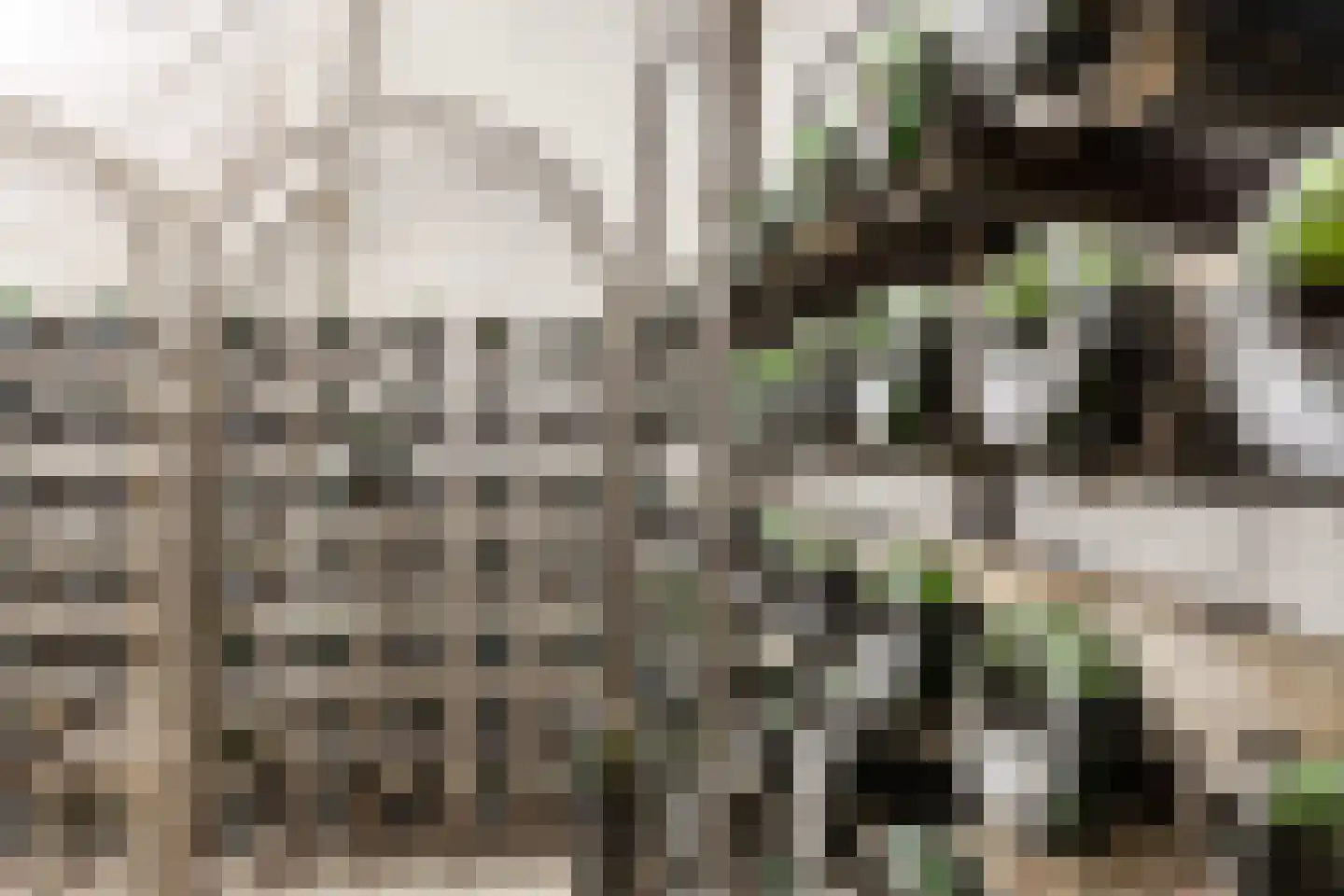 Heistraat 45 Valkenswaard thumbnail 47