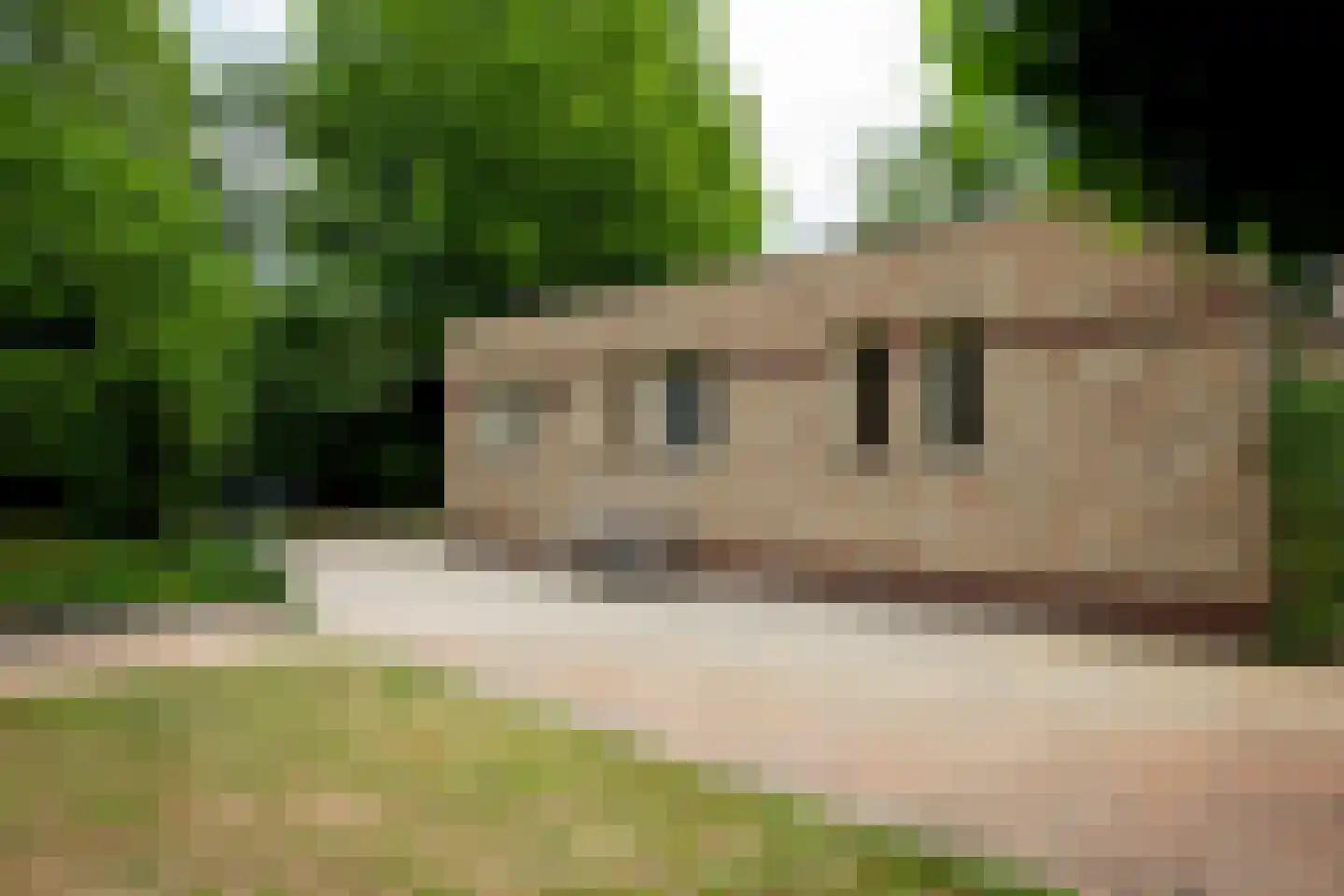 Heistraat 6 B Velp thumbnail 13