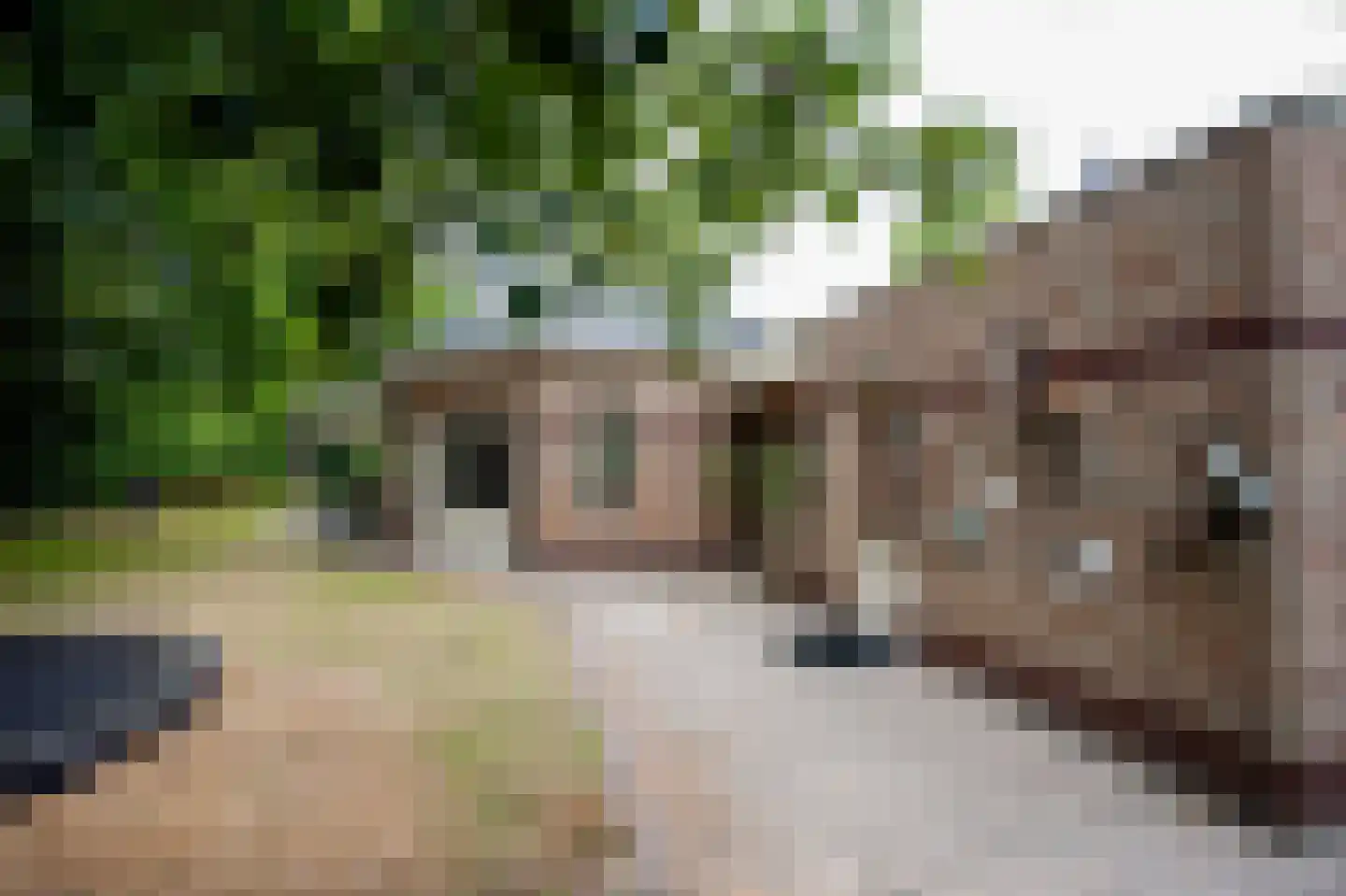 Heistraat 6 B Velp thumbnail 16