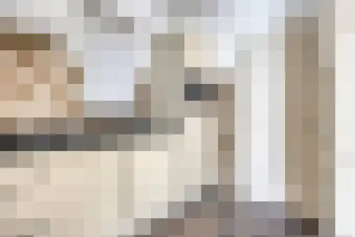 Heistraat 6 Landhorst thumbnail 7