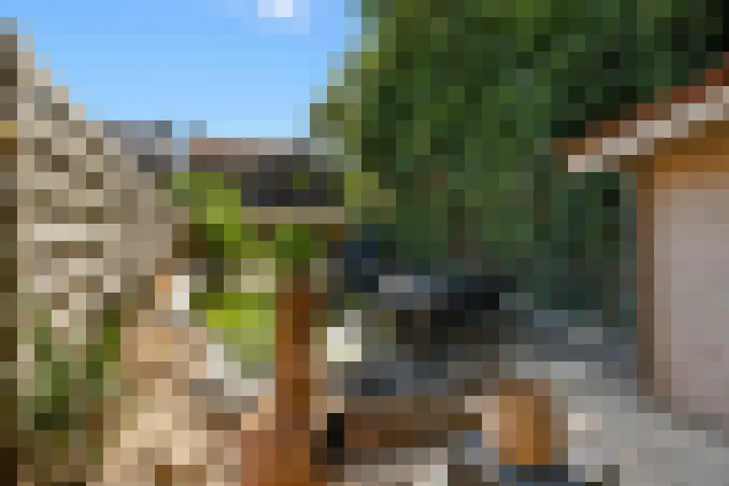 Heistraat 62 A Einighausen thumbnail 26