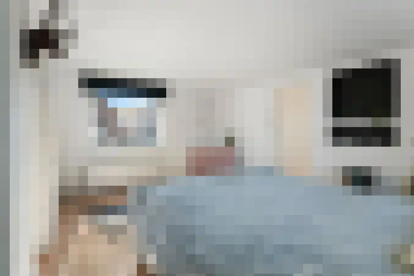 Heistraat 62 A Einighausen thumbnail 33