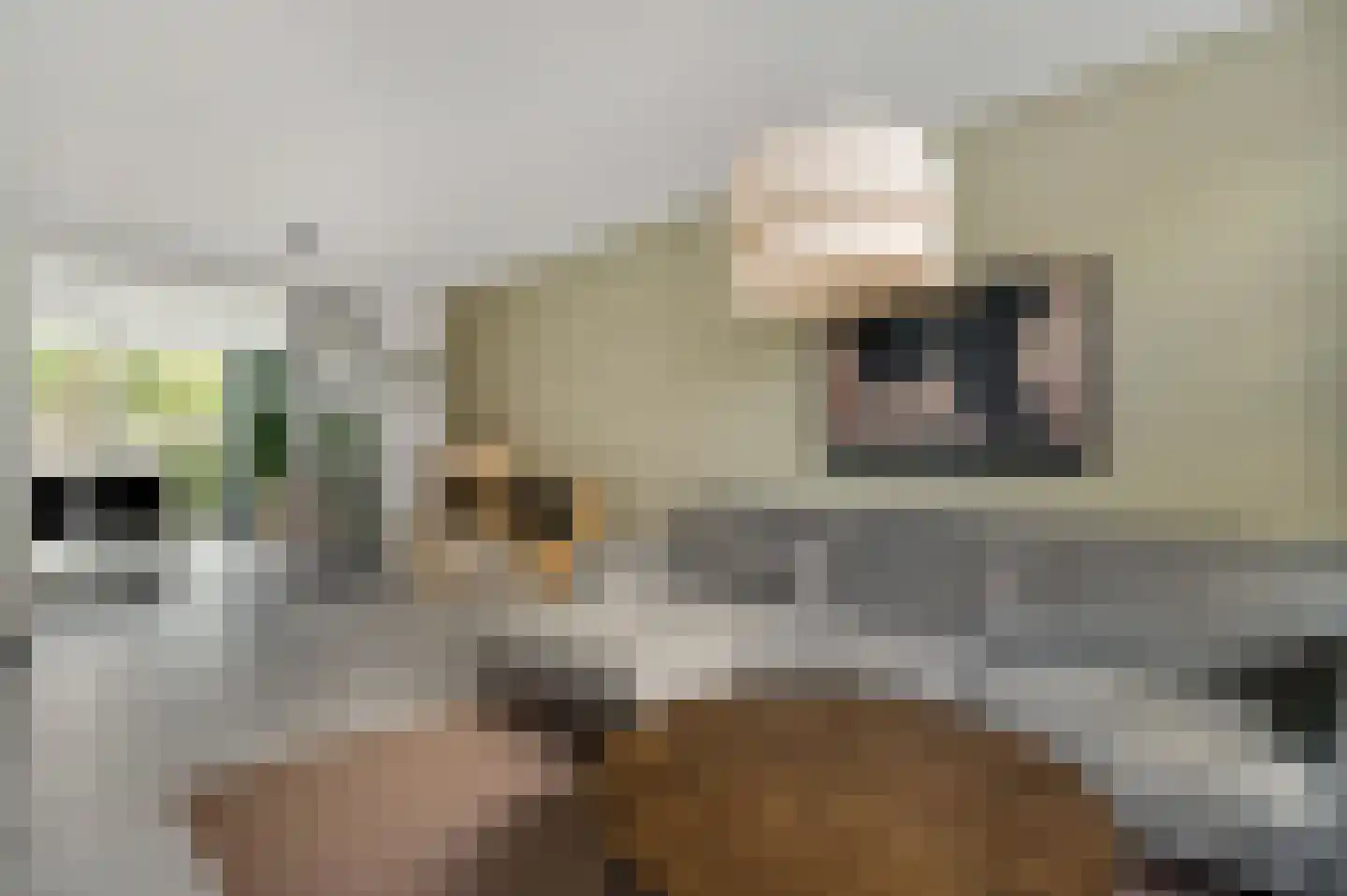 Heistraat 67 Swalmen thumbnail 8