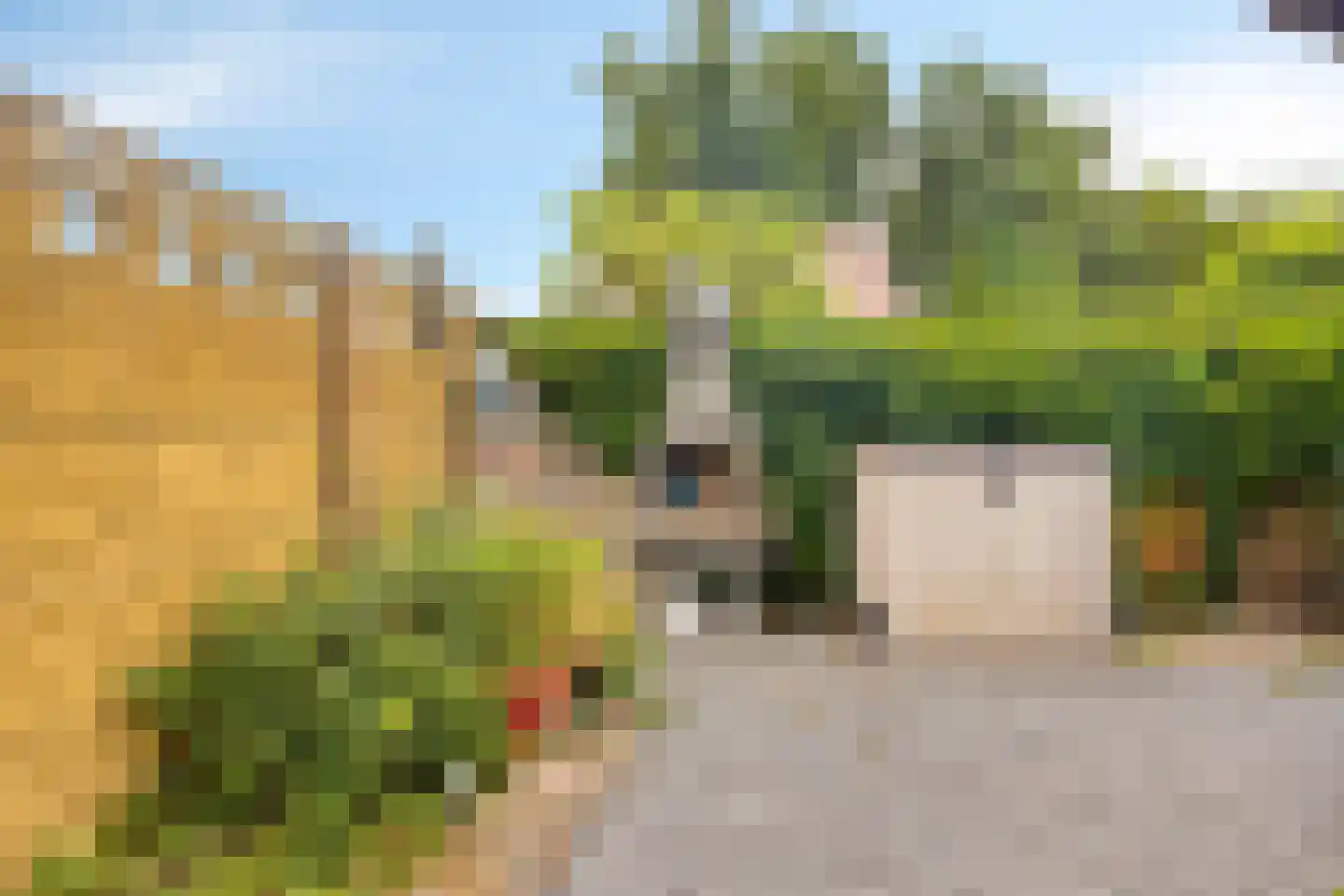 Heistraat 71 Einighausen thumbnail 20