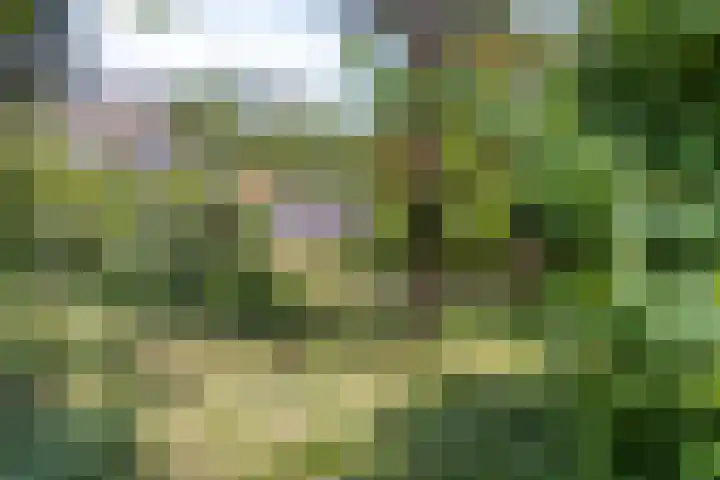 Heistraat 8 C Landgraaf thumbnail 30