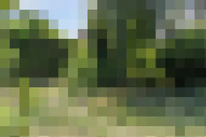 Heistraat 8 C Landgraaf thumbnail 33