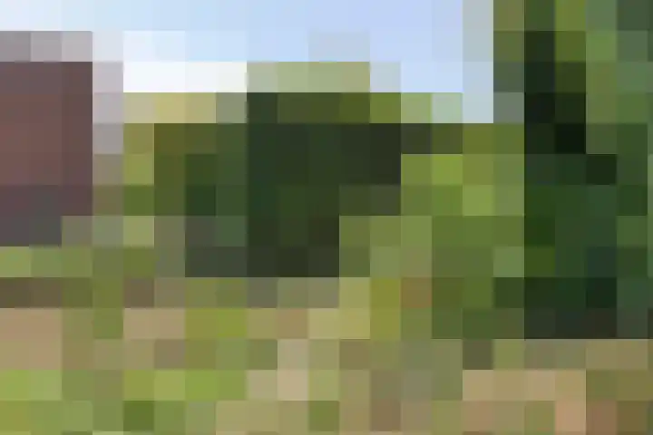 Heistraat 8 C Landgraaf thumbnail 34