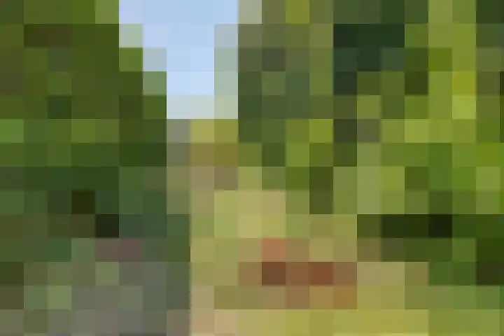 Heistraat 8 C Landgraaf thumbnail 35