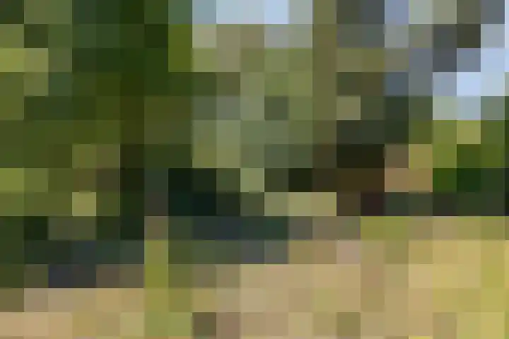 Heistraat 8 C Landgraaf thumbnail 36