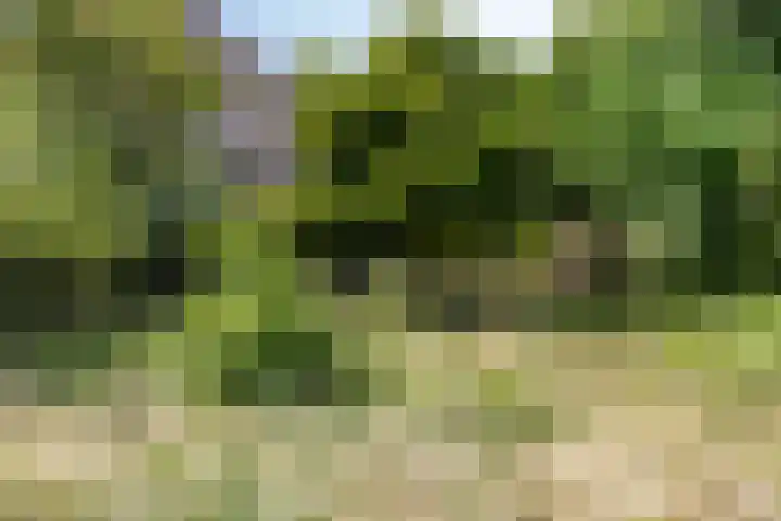 Heistraat 8 C Landgraaf thumbnail 37