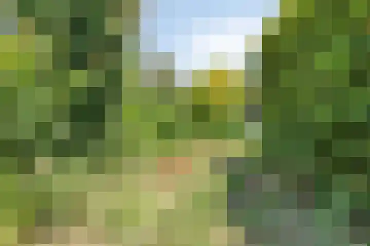 Heistraat 8 C Landgraaf thumbnail 38