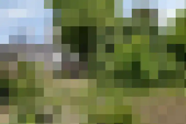 Heistraat 8 C Landgraaf thumbnail 39