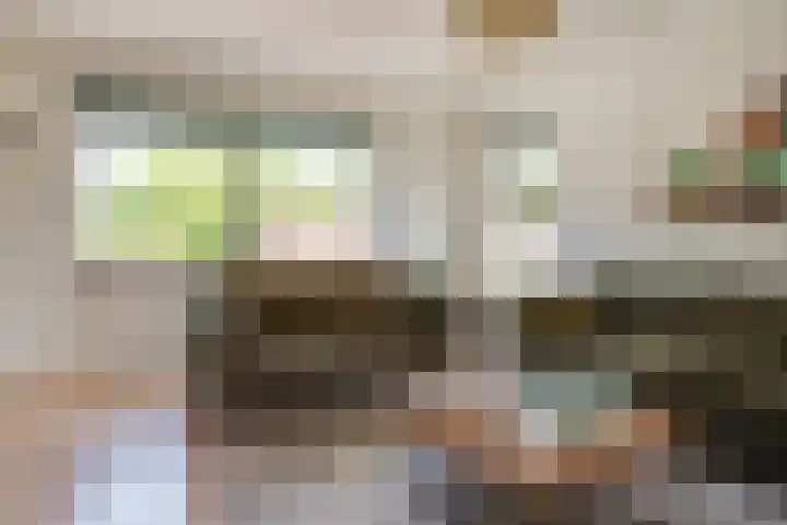 Heistraat 8 j Son en Breugel thumbnail 25