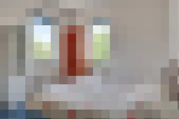 Heistraat 8 j Son en Breugel thumbnail 41
