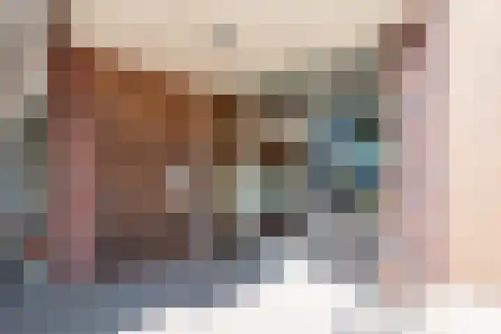 Heistraat 8 j Son en Breugel thumbnail 6