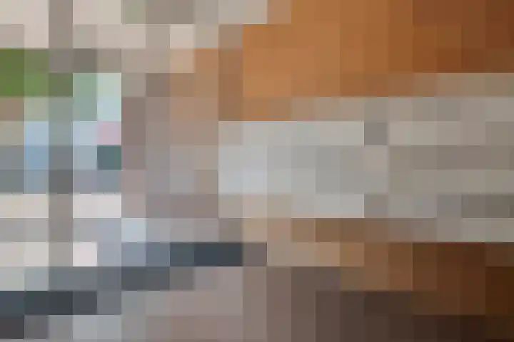 Heistraat 8 j Son en Breugel thumbnail 7