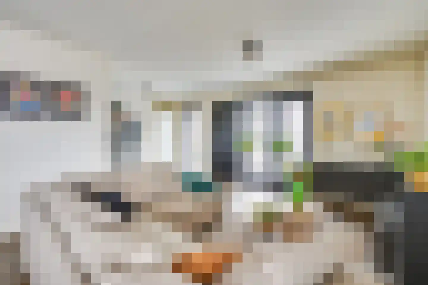 Heistraat 8 n Son en Breugel thumbnail 19