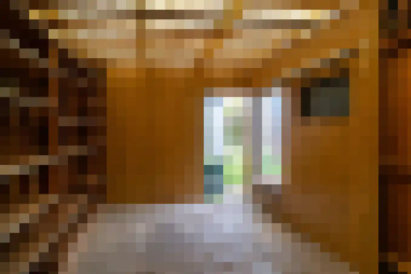 Heistraat 86 Sprang-Capelle thumbnail 27