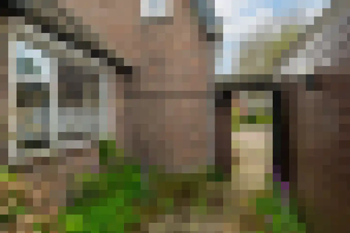 Heistraat 86 Sprang-Capelle thumbnail 28
