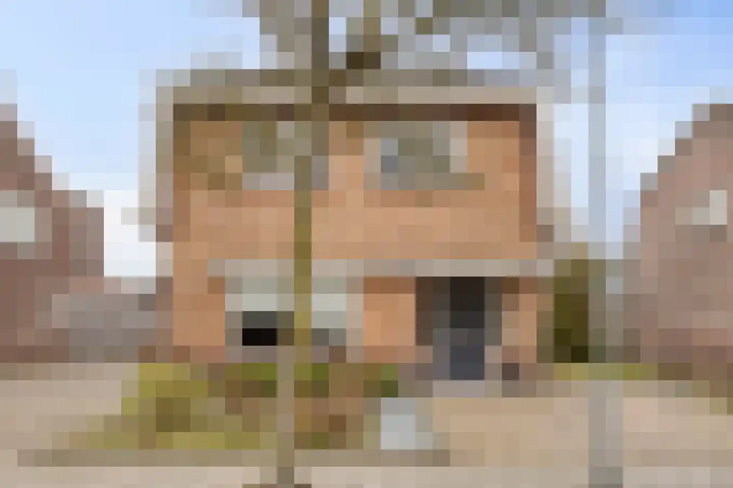 Heistraat 9 Valkenswaard thumbnail 6