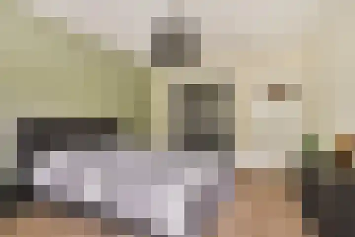 Heitrak 40 Liessel thumbnail 20