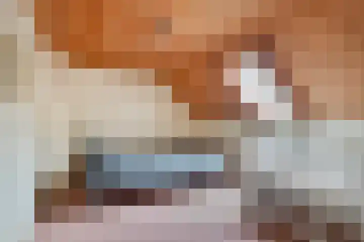 Heitrak 40 Liessel thumbnail 23
