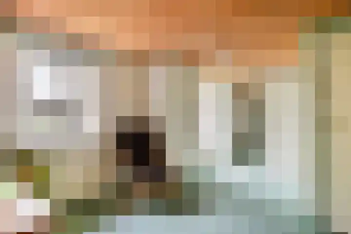 Heitrak 40 Liessel thumbnail 26