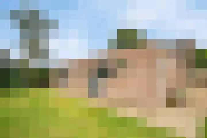 Heitrak 40 Liessel thumbnail 34