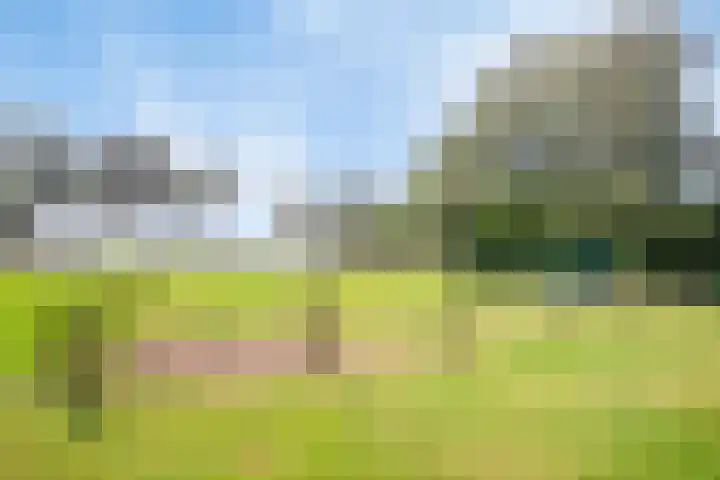 Heitrak 40 Liessel thumbnail 36