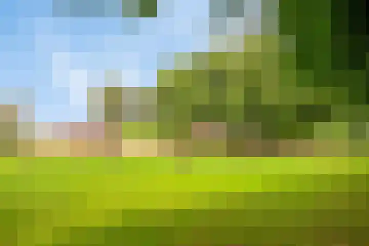 Heitrak 40 Liessel thumbnail 38