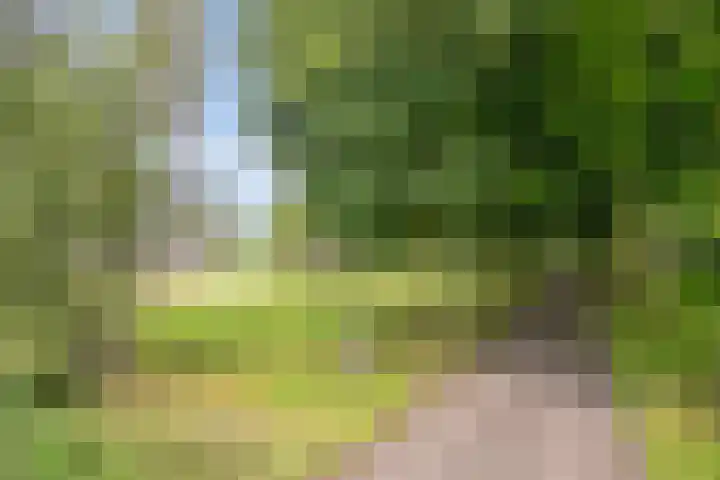 Heitrak 40 Liessel thumbnail 39