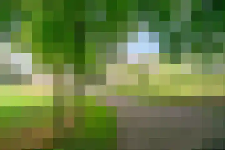 Heitrak 40 Liessel thumbnail 40