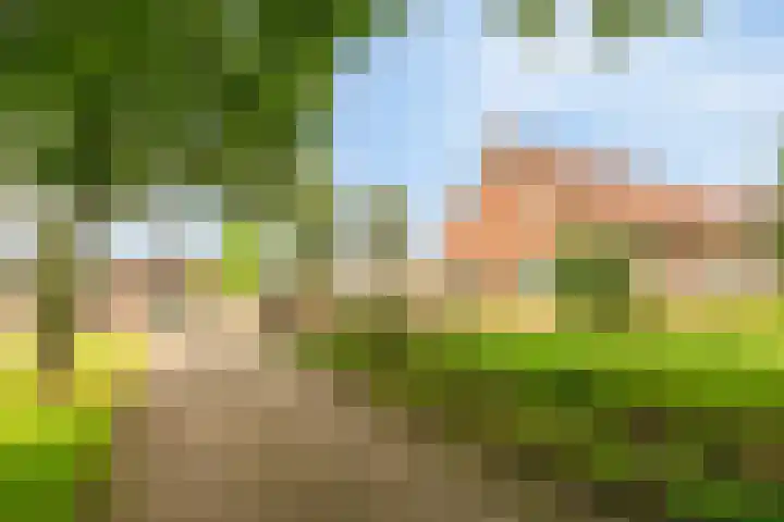 Heitrak 40 Liessel thumbnail 41