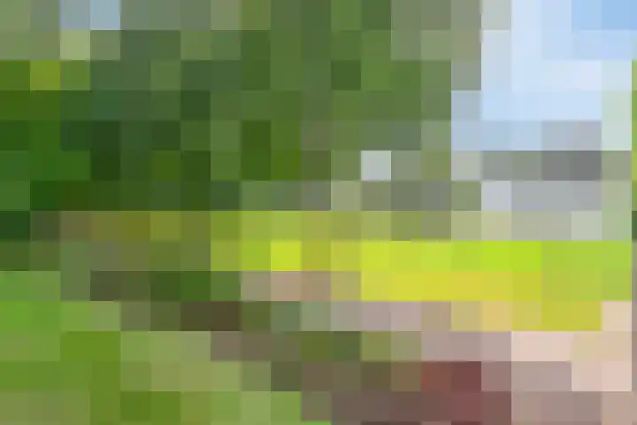 Heitrak 40 Liessel thumbnail 44