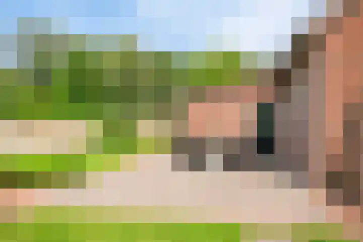 Heitrak 40 Liessel thumbnail 46