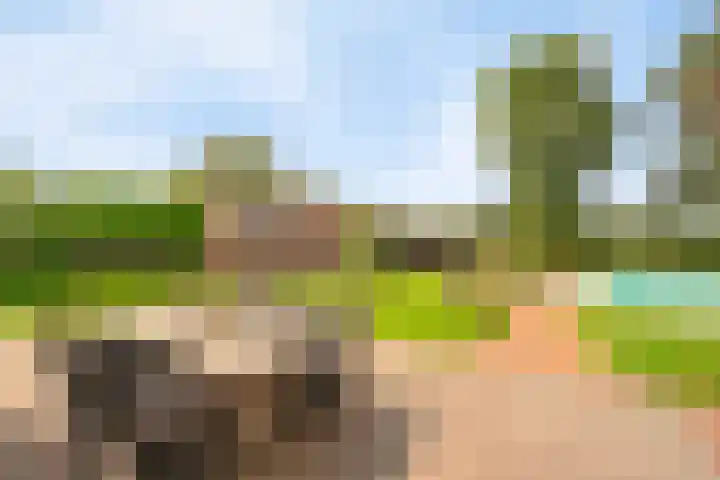 Heitrak 40 Liessel thumbnail 47