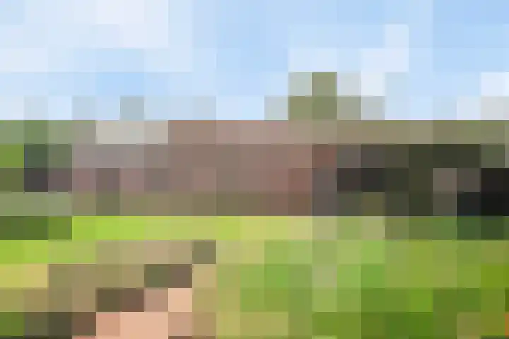 Heitrak 40 Liessel thumbnail 50
