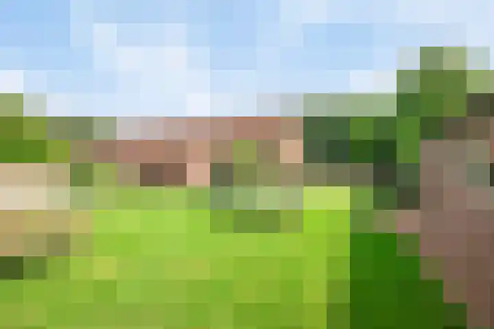 Heitrak 40 Liessel thumbnail 53