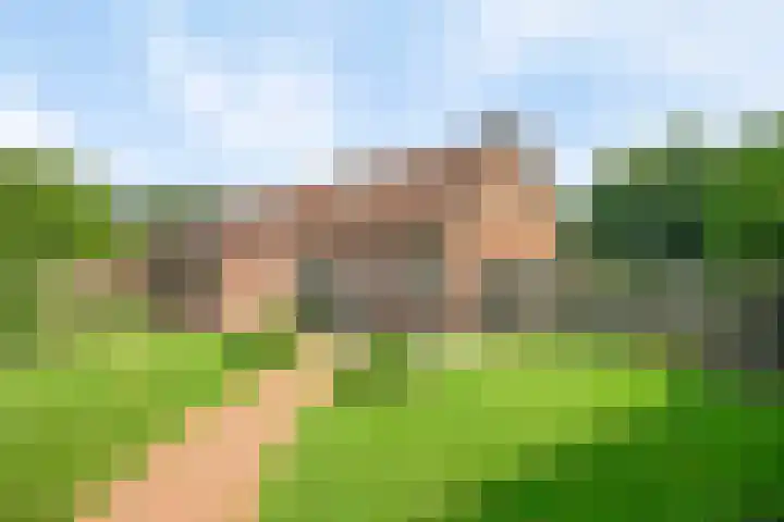 Heitrak 40 Liessel thumbnail 54