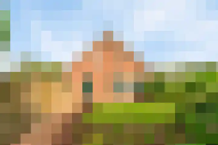Heitrak 40 Liessel thumbnail 6