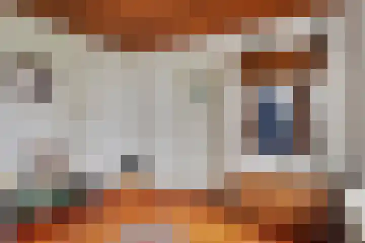Heitrak 40 Liessel thumbnail 7