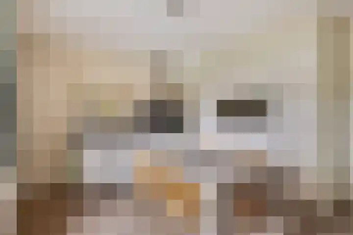 Heitrak 40 Liessel thumbnail 8